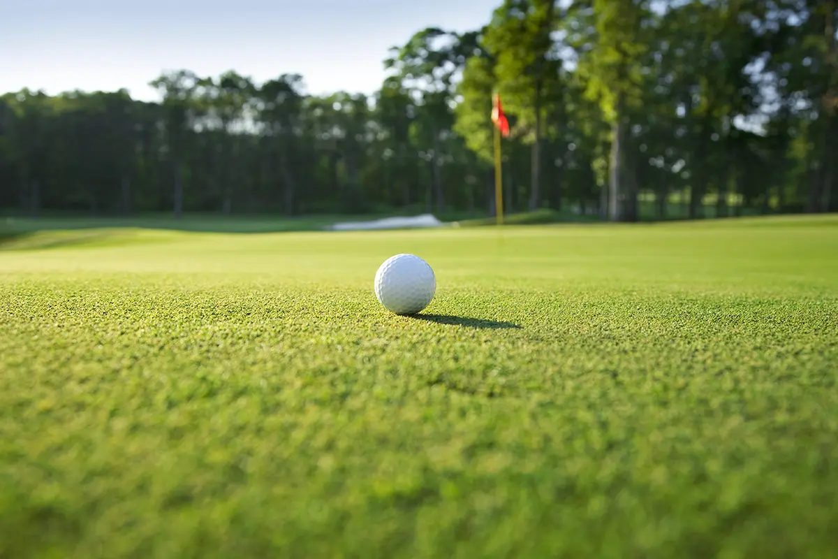 Golfbal op de green met een vlag op de achtergrond